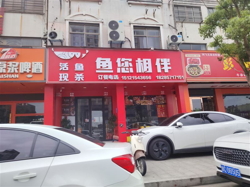 鱼您相伴的图标